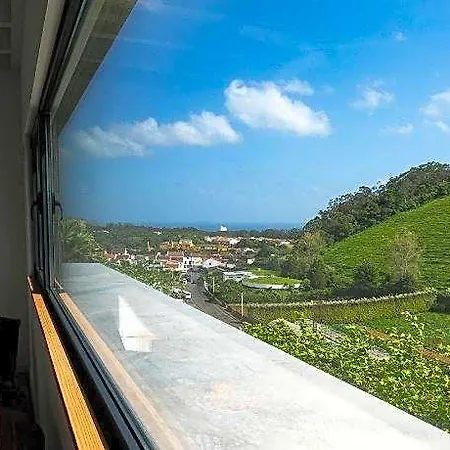 Solar Branco Eco Estate & - Azores Hotel